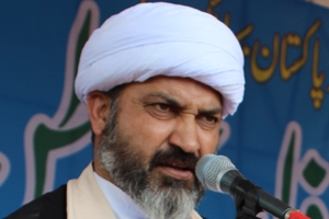 دھرنے کے شرکاء کا عظیم ولولہ ، حوصلہ اور ہمت تاریخ میں ہمیشہ یاد رکھی جائے گی، علامہ اسدی