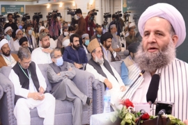 اپنی اور حکومت پاکستان کی جانب سےعلامہ راجہ ناصرعباس کی وحدت وتقریب امت کی کوششوں کو خراج تحسین پیش کرتاہوں،وفاقی وزیر مذہبی امور پیر نورالحق قادری