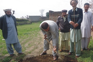 ایبٹ آباد میں ایم ڈبلیوایم کی شجرکاری مہم کا باقائدہ آغاز