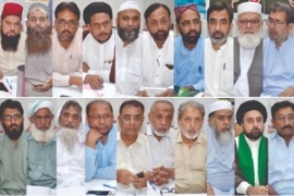 ملی یکجہتی کونسل جنوبی پنجاب کی تنظیم سازی، ایم ڈبلیوایم کے رہنما علامہ اقتدار نقوی نائب صدر نامزد