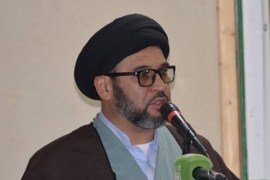 سنجیدہ اور اصولی سیاست مہذب قوموں کی پہچان ہے، علامہ ہاشم موسوی