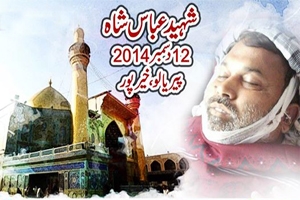 فعال شیعہ رہنماعباس شاہ کا قتل پیپلز پارٹی حکومت کی نا اہلی ہے، ایم ڈبلیوایم سندھ