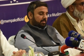 عالم اسلام کے تنازعات کے حل کے لئے پاکستانی حکومت قائدانہ کردار ادا کرے، اسدعباس نقوی