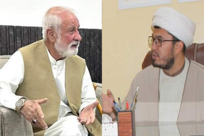 رہنما ایم ڈبلیوایم اور نامزد امیدوار علامہ علی حسنین حسینی کی سابق رکن قومی اسمبلی سید ناصر شاہ سے ملاقات