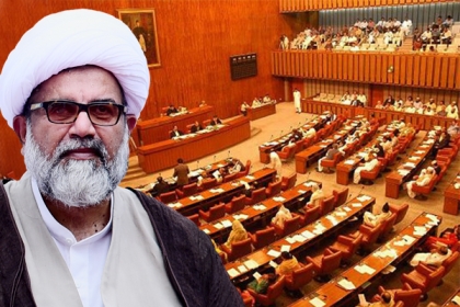 زائرین کے مسائل کے حل کیلئے سینیٹر علامہ راجہ ناصر عباس جعفری کی سربراہی میں ایک ذیلی کمیٹی کے فوری قیام کا اعلان
