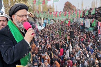 گلگت بلتستان کے عوام خودمختار صوبائی اسمبلی چاہتے ہیں جو اپنے حقوق کا تحفظ خود کرسکے، آغا علی رضوی