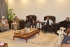 چیئرمین ایم ڈبلیوایم سینیٹر علامہ راجہ ناصرعباس ودیگر اپوزیشن قائدین کی نوابزادہ حاجی میر لشکری رئیسانی سےملاقات