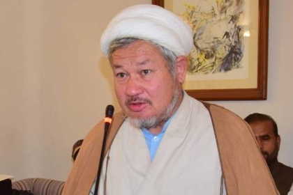 ملی یکجہتی کونسل اور مجلس وحدت مسلمین اتحاد بین المسلمین کے فروغ میں اہم کردار ادا کر رہی ہیں،علامہ شیخ ولایت جعفری