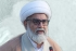 وقت کا تقاضا ہے کہ عالمی یوم مزدور کو عملی اقدامات کے عزم کے طور پر منایا جائے،سینیٹر علامہ راجہ ناصرعباس