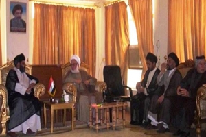 حزب الدعوہ الاسلامیہ العراقیہ مجلس وحدت مسلمین کی خدمات کو خراج تحسین پیش کر تی ہے،  علامہ شیخ علی مرزا