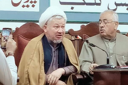 ایم ڈبلیو ایم نے ہمیشہ مظلومین کی حمایت کی ہے، علامہ ولایت جعفری