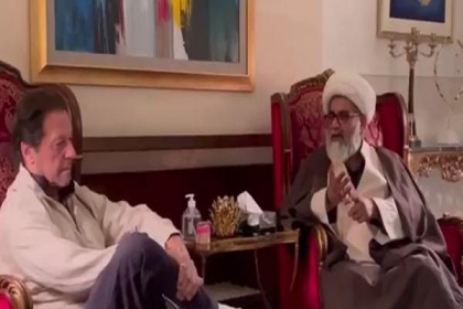 چیئرمین ایم ڈبلیوایم علامہ راجہ ناصرعباس کی وفدکے ہمراہ چیئرمین پی ٹی آئی عمران خان سے ملاقات
