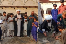 شجرکاری مہم کے دوران عوام بڑھ چڑھ کر حصہ لیں، علامہ مقصود ڈومکی