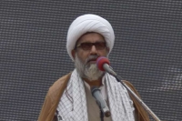 علامہ راجہ ناصر عباس جعفری کی روضہ اقدس حضرت زینب سلام اللہ علیہا قریب خودکش دھماکے اور قیمتی جانوں کے ضیاع کی مذمت