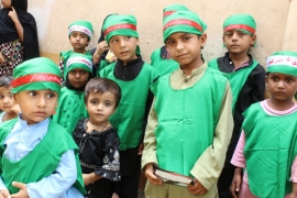 عالمی یوم علی اصغر ؑ کے موقع پر ایم ڈبلیوایم شعبہ خواتین کی جانب سے ننھےعزاداروں کا اجتماع