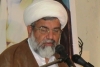 علامہ علی اکبر کمیلی کی شہادت ،ٹارگٹڈ آپریشن ختم کرکے کراچی میں فوجی آپریشن کا آغاز کیا جائے،علامہ ناصرعباس جعفری