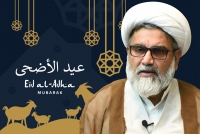 عید قربان ایام حج میں تعظیم اسلام کی نمایاں ترین نشانی ہے،سینیٹرعلامہ راجہ ناصرعباس کا عید الاضحیٰ پر قوم کے نام پیغام