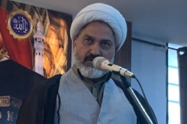 پاکستان کے سیاسی کلچر میں عدم برداشت کا عنصر پروان چڑھ رہا ہے، علماءکردار اداکریں، علامہ عبدالخالق اسدی