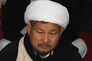 مبارک علی شان پر حملے میں ملوث دہشت گردوں کو فوری گرفتار کیا جائے،علامہ ولایت جعفری