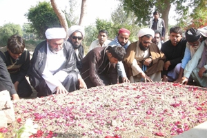علامہ مختار امامی کی مرقد شہید دیدار جلبانی(رح) پر حاضری