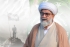 یہ صرف ایک سیاسی جدوجہد نہیں، بلکہ حق و باطل کی جنگ ہے، جس میں آخرکار فتح حق کی ہی ہوگی، سینیٹر علامہ راجہ ناصرعباس