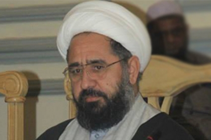 حکومت ملک میں دہشتگردوں کے خلاف مسلکی تعصب سے بالاتر ہو کر اقدامات کرے،علامہ امین شہیدی