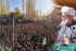 سربراہ ایم ڈبلیوایم علامہ راجہ ناصرعباس جعفری کا انتخابی مہم کیلئےسکردوپہنچنے پرپرتپاک استقبال،شگر میں جلسہ عام سے خطاب