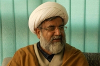 ایم ڈبلیوایم  بلدیاتی انتخابات میں بھرپور حصہ لے گی، صاحبزادہ حامد رضا کے خلاف مقدمہ انتقامی کاروائی ہے،علامہ ناصرعباس جعفری