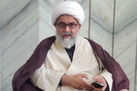 کسی بھی شخص کو یہ اختیار نہیں دیا جا سکتا کہ وہ اپنی اصل جنس کی بجائے من پسندجنس کے طور پر اپنی شناخت کرائے،علامہ راجہ ناصرعباس
